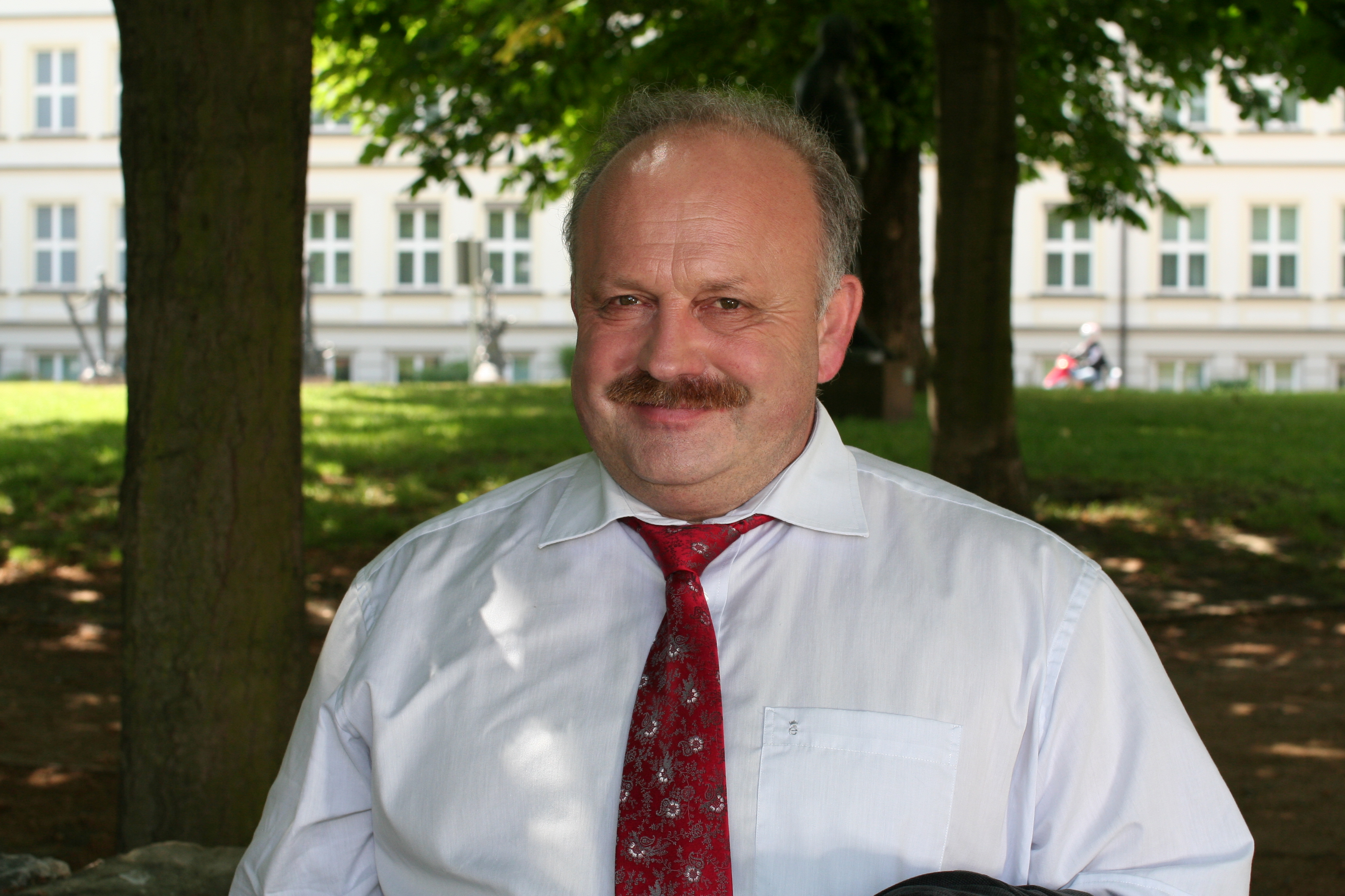 Bergmann2